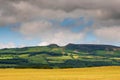 Huge wheat field and blue cloudy sky. Food supply chain business. Bread and pastry production. Rich golden color of the plant. Royalty Free Stock Photo