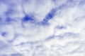 Huge white, fluffy clouds against the blue sky. Royalty Free Stock Photo