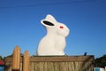 Huge white plastic rabbit, seen in Hermanus, South Africa.