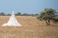 A huge white termitary is almost the same height as a tree