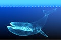 Huge white whale under water Vector illustration