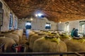 Huge wine jars in a winery. Montilla, Cordoba 25