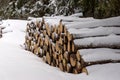Huge wood pile in the forest covered with snow