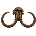 Mammoth Extinct Elephantid Skull Isolated, Transparent Background