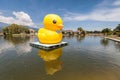 Huge yellow balloon duck