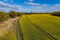 Huge yellow and green colza field Royalty Free Stock Photo