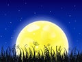 Huge yellow moon with grass meadow Royalty Free Stock Photo