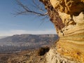 Yellow rock and small tree Royalty Free Stock Photo