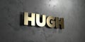 Hugh - Gold sign mounted on glossy marble wall - 3D rendered royalty free stock illustration