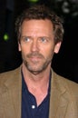 Hugh Laurie Royalty Free Stock Photo