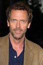 Hugh Laurie Royalty Free Stock Photo