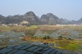 Huixian Glass Field near Guilin, with karst landforms, Guangxi, China