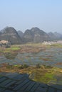 Huixian Glass Field near Guilin, with karst landforms, Guangxi, China