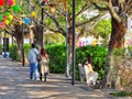 During the Wuhan pneumonia epidemic, only sporadic tourists visited the Huizhou West Lake tourist scenic spot