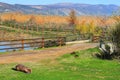 Hula Lake nature reserve, Hula Valley, Israel Royalty Free Stock Photo