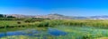 Holy Land Series - Hula Reservoir and Birds sanctuary 1 Royalty Free Stock Photo