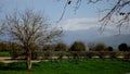 Hula Valley in spring colors. Israel.