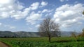 Hula Valley in spring colors. Israel.