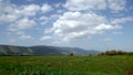 Hula Valley in spring colors. Israel.