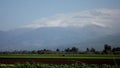 Hula Valley in spring colors. Israel.