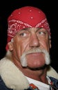 Hulk Hogan Royalty Free Stock Photo