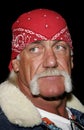 Hulk Hogan Royalty Free Stock Photo