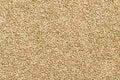 Hulled common buckwheat grains surface and background