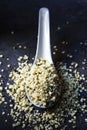 Hulled hemp seeds on a dark gray surface Royalty Free Stock Photo