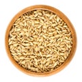 Hulless barley in wooden bowl over white Royalty Free Stock Photo