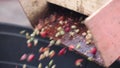 Hulling coffee beans in a machine. Close up shot