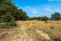 Hulshorsterzand, which is part of the nature reserve Leuvenumse Bos of Natuurmonumenten. Royalty Free Stock Photo