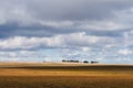 Hulun Buir grassland Royalty Free Stock Photo