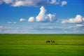 Hulunbuir prairie Royalty Free Stock Photo