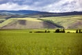 The hulunbuir prairie in Inner Mongolia, China Royalty Free Stock Photo