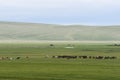 Beautiful natural scenery in summer with Colorful Ã¯Â¼Ëyellow, green) grass and rolling hills.