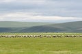 Beautiful natural scenery in summer with Colorful Ã¯Â¼Ëyellow, green) grass and rolling hills. Royalty Free Stock Photo