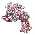 Human activated protein C (APC, drotrecogin alfa, without Gla-domain). Has anti-thrombotic and anti-inflammatory properties. Used