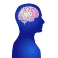 Human active brain Royalty Free Stock Photo