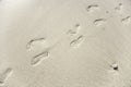 Human adult footprint in the fine sand at the beach