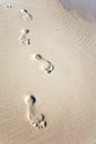 Human adult footprint in the fine sand