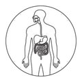 Human alimentary canal or digestive system line art icon for apps and websites Royalty Free Stock Photo