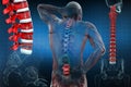 Anatomical vision back pain. Spine anatomy. 3D illustration