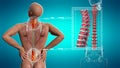 Anatomical vision back pain. Spine anatomy. 3D illustration