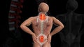 Anatomical vision back pain. Spine anatomy. 3D illustration