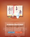 Human anatomy. Education and science vertical layout concepts. Flat modern style.