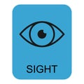 Human anatomy flat eye icon, sight health organ vector illustration, face part sign Royalty Free Stock Photo