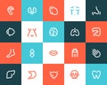 Human anatomy icons. Flat style