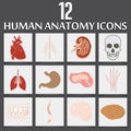 Human Anatomy icons set vector Royalty Free Stock Photo