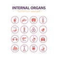 Human anatomy icons. Vector internal organs pictogram set.