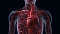 Human anatomy illustrated blood flowing through arteries generated by AI